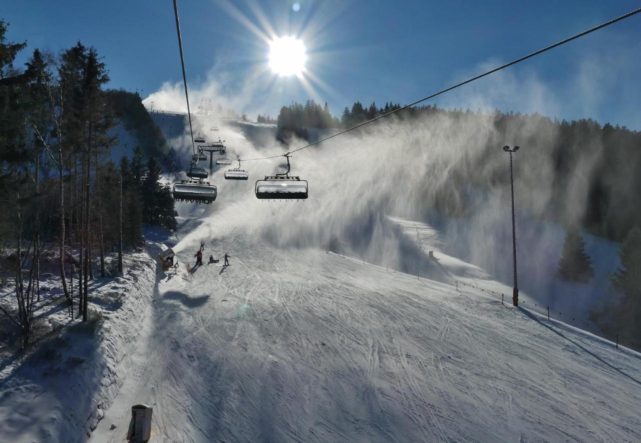 Quartier12 "Ski In & Bike Out" - Fewo Berg Willingen  Eksteriør billede