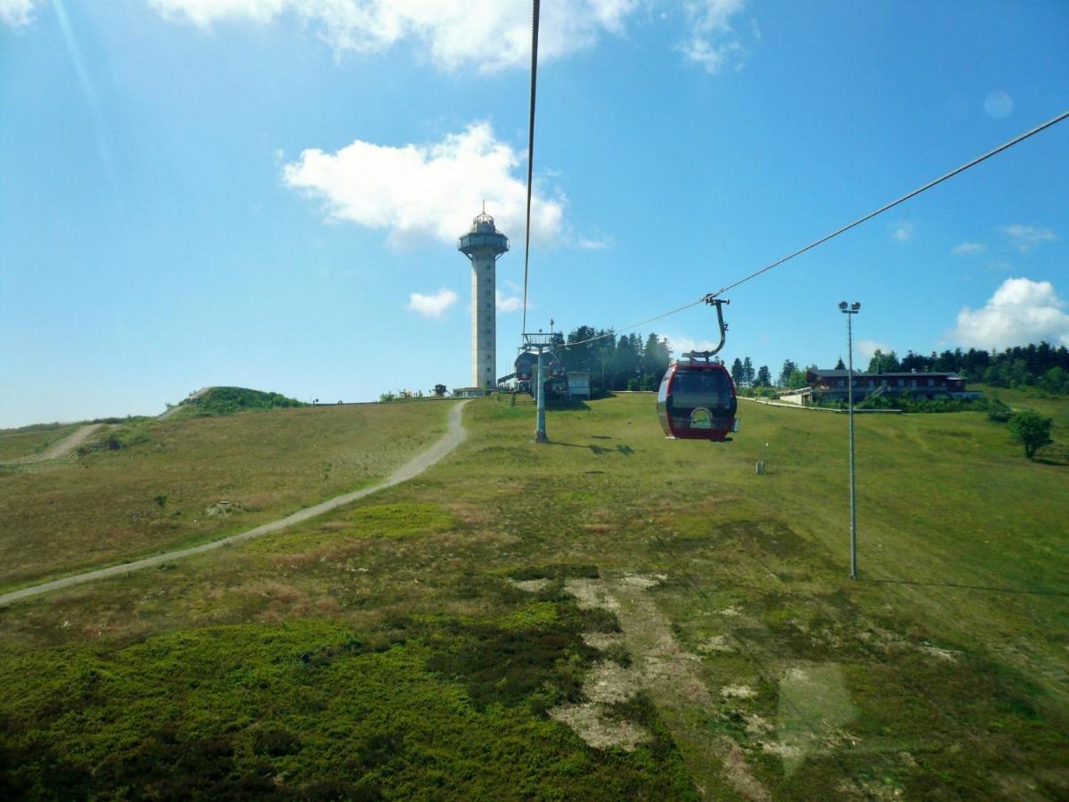 Quartier12 "Ski In & Bike Out" - Fewo Berg Willingen  Eksteriør billede